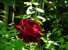 DSCN9789
