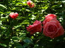 DSCN9791