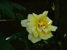 DSCN9797