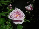 DSCN9798