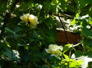DSCN9802