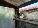 SAM_1808