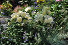 golden border(comtesse du barry)