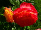 DSC08016