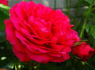 DSC08159