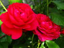 DSC08160