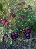 20160528_183003