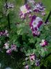 20160528_184431