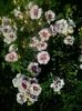 20160528_184520