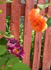DSCN2191