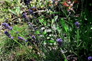 IMG_20160529_102652