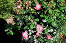 IMG_20160529_102407