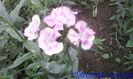 IMG_20160527_152448
