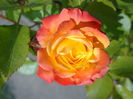 DSC03370