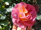 DSC03406
