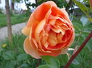 DSC03469