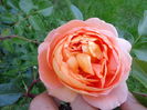 DSC03471