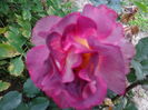 DSC03489