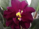 Photo0671
