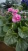 WP_20160521_005