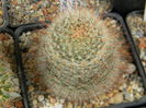 DSCN6906