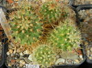 DSCN6907