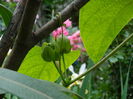 DSCN9819