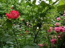 DSCN9824