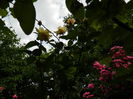 DSCN9825