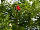 DSCN9834
