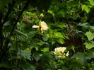 DSCN9835