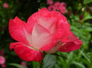 DSCN9838