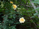 DSCN9846