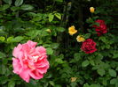 DSCN9856