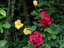 DSCN9857
