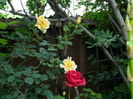 DSCN9858