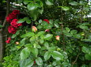 DSCN9861