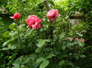 DSCN9862