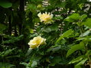 DSCN9866