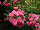DSCN9871