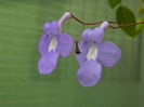 DSCN9876