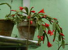 DSCN9879