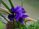 DSCN9889