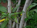 DSCN9895