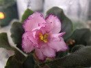 Photo0673