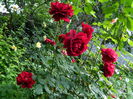 DSCN9899