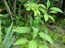 DSCN9904