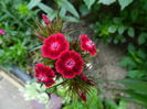 DSCN9920