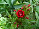 DSCN9922