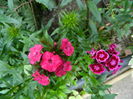 DSCN9923